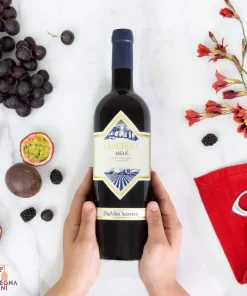 Assajé Carignano IGT 2021