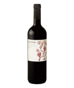 Colli di Salerno IGT Rosso “Montevetrano” 2020 – Montevetrano